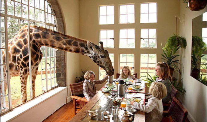 Giraffe manor, Nairobi