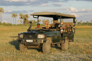 Wildlife Safari Agency