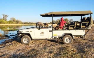 Game drive with guests, Safarin Embassy